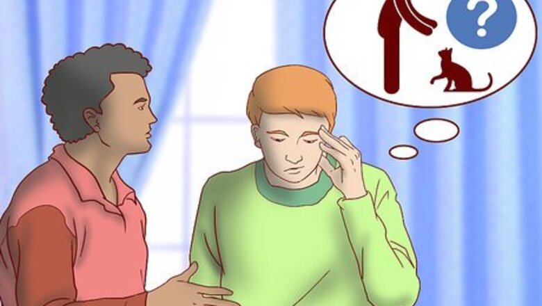 How to Choose a Cat Sitter