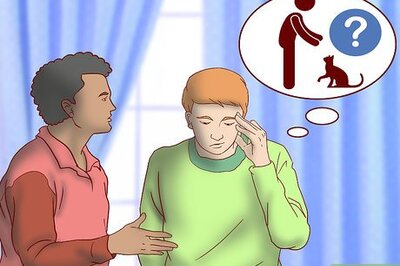 How to Choose a Cat Sitter