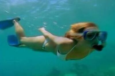 Contest hots up for the best job in the world