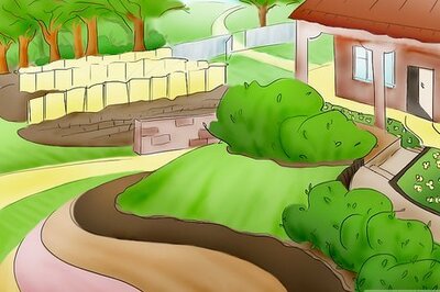 How to Plant Tomatoes from Seed