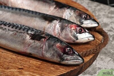 How to Clean/Gut a Fish