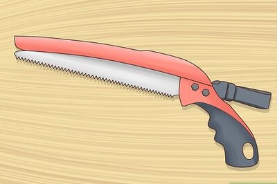 How to Prune Nyssa Sylvatica