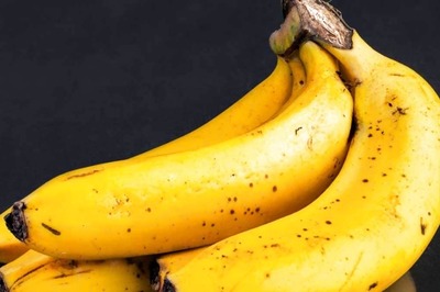 Popular Variety Of Banana On Brink Of Extinction Due To Fungal Threat, But Researchers May Have A Solution