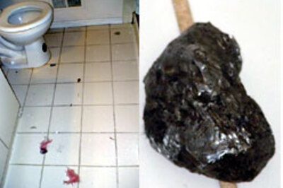 Meteorite crashes into Indian's loo!