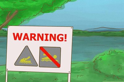 How to Survive an Encounter with a Crocodile or Alligator