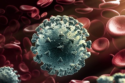 Kerala Govt Confirms Nipah Infection In 14-year-old Boy, High-risk Contacts Isolated