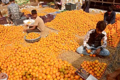 Bankura, Once Known for Maoists, is Now Famous for Mandarin