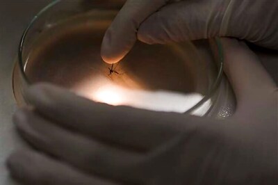 Centre forms technical group to monitor Zika virus situation