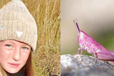 A Pink Grasshopper? 9-Year-Old Photographer Makes A Rare Discovery