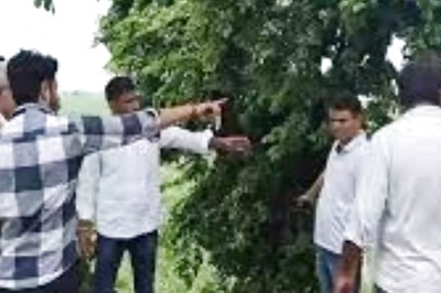 In UP's Sankrod Village, Fear Of Leopards Makes Locals' Lives Harder