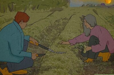 What Does a Yellow Moon Mean? (Plus, the Science Behind It)