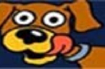 This dog had phone bills, ballots in his name