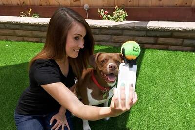 Pooch Selfie: A smartphone accessory that holds your dog's attention while you click selfies with it
