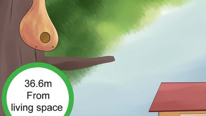 How to Attract Purple Martins