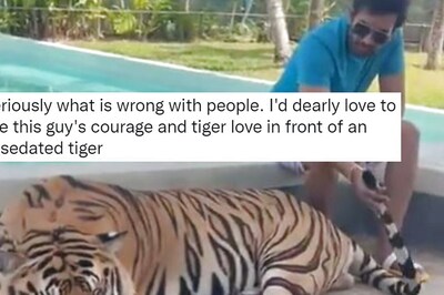Actor Santhanam Posts Video of Him Petting a Tiger, Gets Backlash For 'Animal Cruelty'