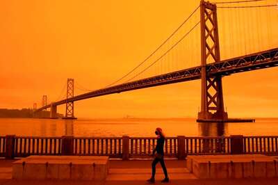 2020 is Hottest Year in Antarctic Peninsula in 3 Decades, Study Finds