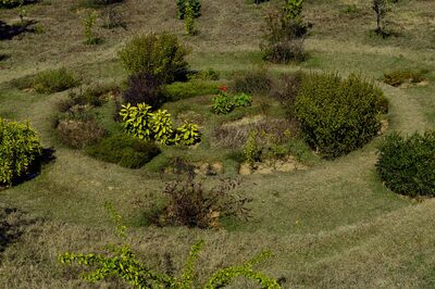 Visit These Biodiversity Parks in Delhi to Escape Into the Wild