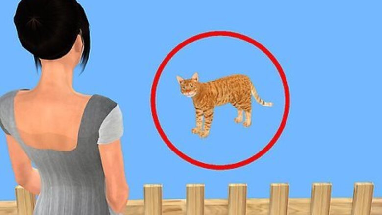 How to Switch from Free Feeding Your Pet