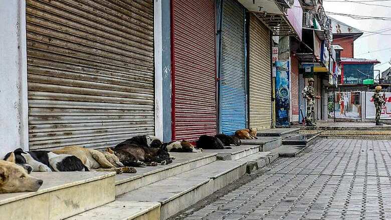 Kerala Stray Dog Menace: A Look at the Issue in Numbers