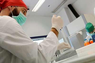 Researchers Store Computer OS, Short Movie on DNA