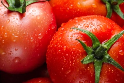 Tomato Price Relief Soon! India Starts Importing Tomato From Nepal