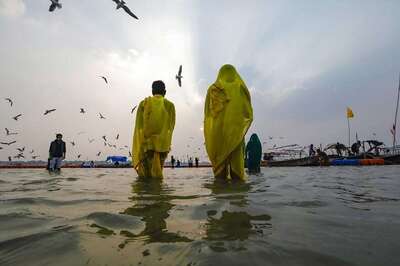 Tulsi Vivah 2020 Date: Timings and Significance on Devuthani Ekadashi