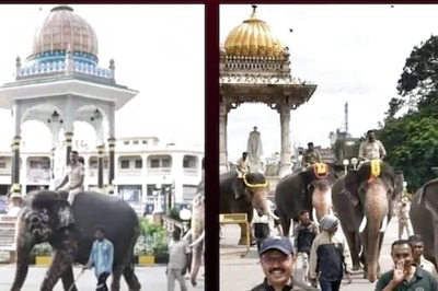 Mysuru Dasara 2024: Training Of 18 Elephants For Procession Begins