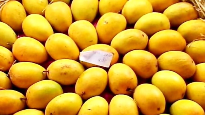 Lucknow: Mango named after Delhi braveheart
