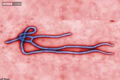 HC asks Centre if passengers are being screened for Ebola