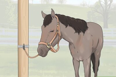 How to Measure for Stirrup Length