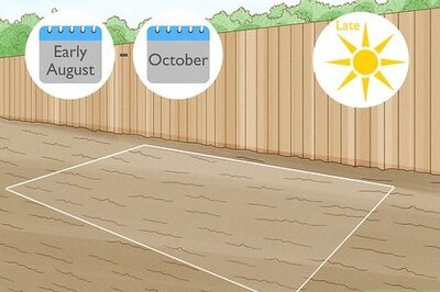 How to Grow Winter Onions