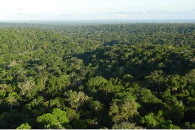Brazil Military Plane Flew Illegal Amazon Miners: Prosecutors
