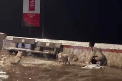 Video Of Boy Playing With Dogs In Mumbai Rains Is Making Internet Nostalgic