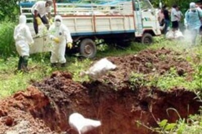 Bird flu virus: Thailand goes for the kill