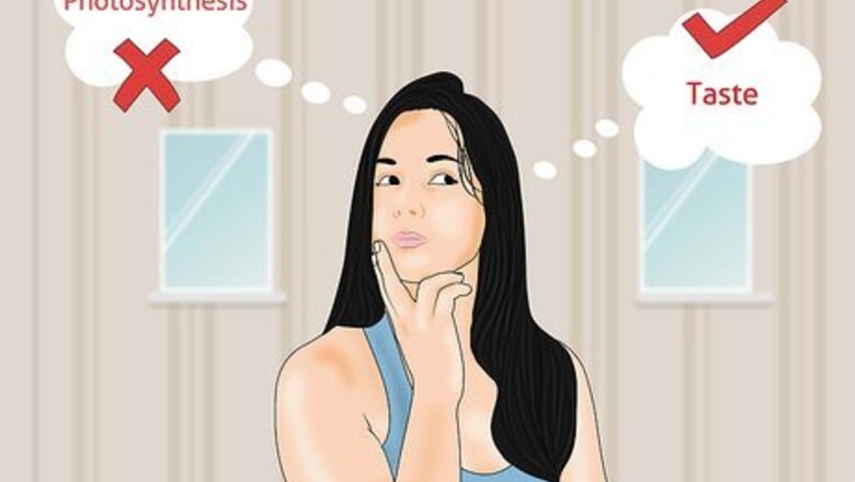 How to Learn to Remember Spellings of Words