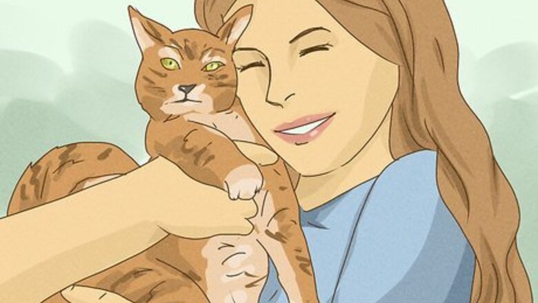 How to Help Animal Shelters During the Coronavirus Outbreak