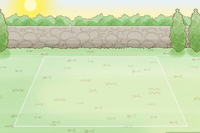 How to Grow Black Eyed Susan Flowers