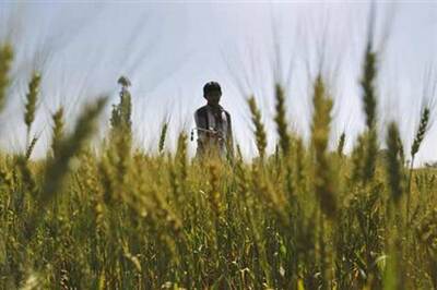 Burdened with crop failure, farmer commits suicide by hanging himself to death in Andhra Pradesh