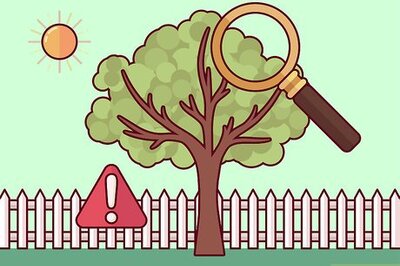 How to Do Basic Dormant Season Pruning