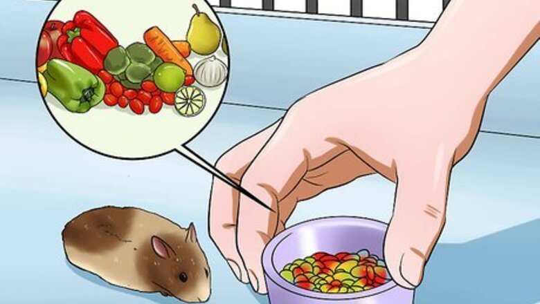How to Make Hamster Health Food