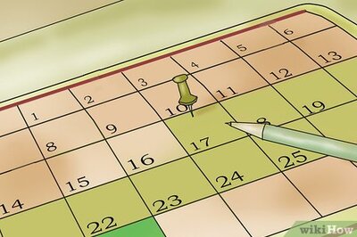 How to Visit Williamsburg