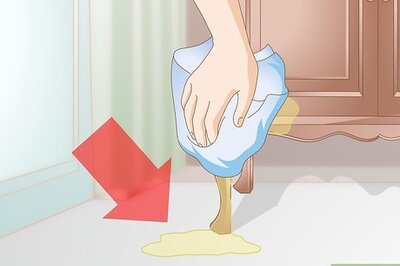 How to Get Rid of Cat Spray Odor