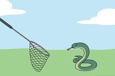 How to Catch a Snake
