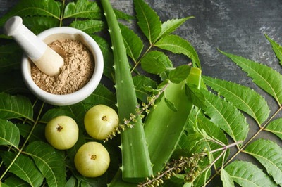 Detox Naturally: 5 Ayurvedic Herbs to Boost Your Health