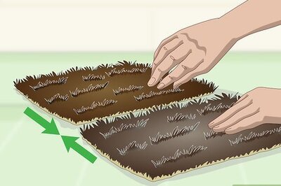 How to Sew Fur Pelts Together