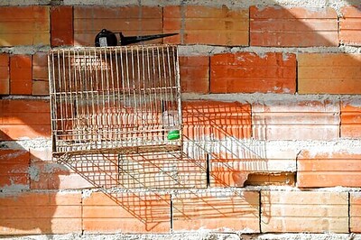 Some European Officials Use Virus As A Cover To Target Roma