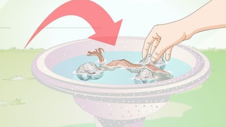 How to Prevent Small Worms in Birdbaths