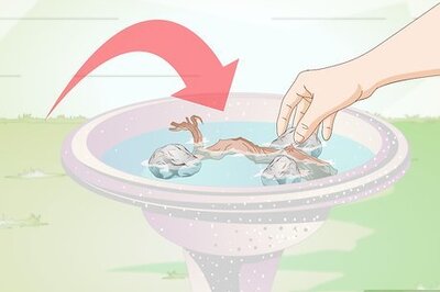 How to Prevent Small Worms in Birdbaths