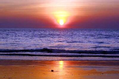 Goa govt bans drinking liquor on beaches