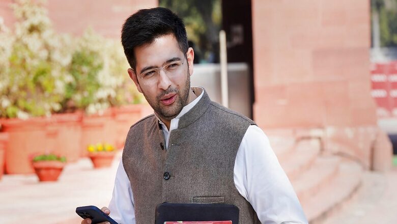 Raghav Chadha Condemns Stalin's Remark, Says DMK Leader's Statement Does Not Reflect INDIA Stand